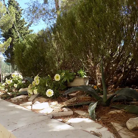 Апартаменты Neda *