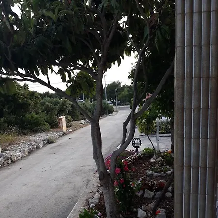 Διαμέρισμα Neda Primošten