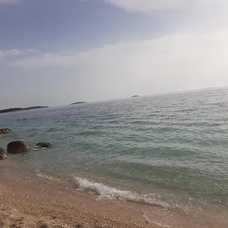 Neda Примоштен